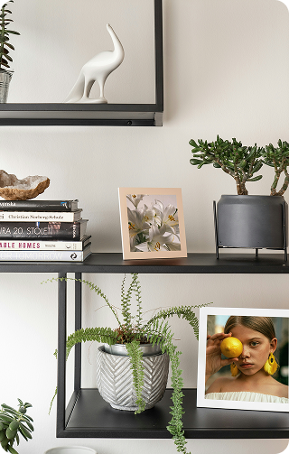 Framed art scene