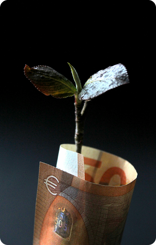 Decentralised Finance