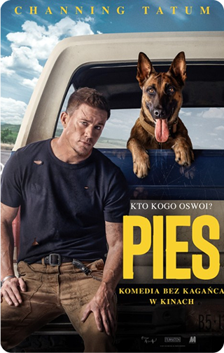 Film poster