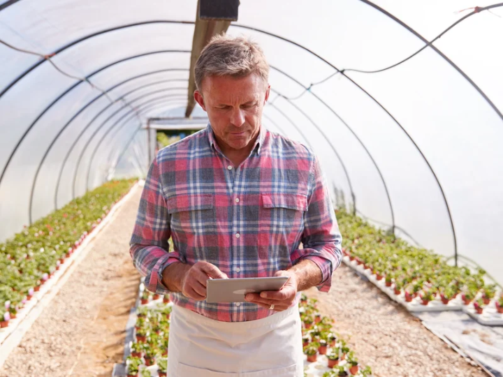 More Organic Visits Along the Line
