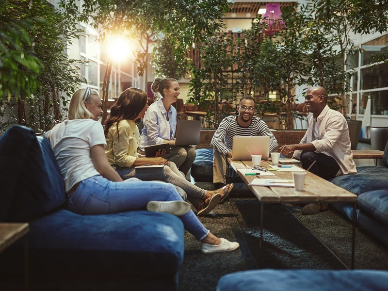 Startup Businesses