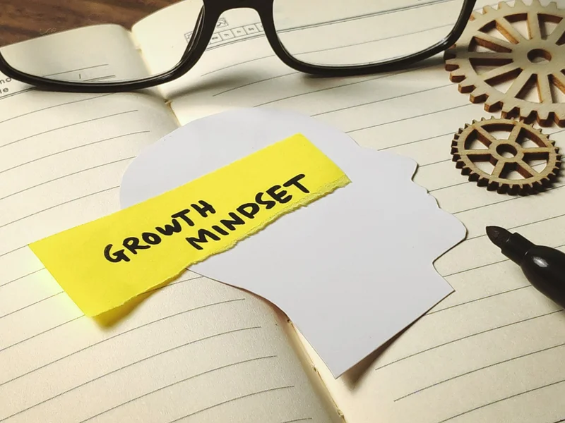 Startup-Friendly Mindset