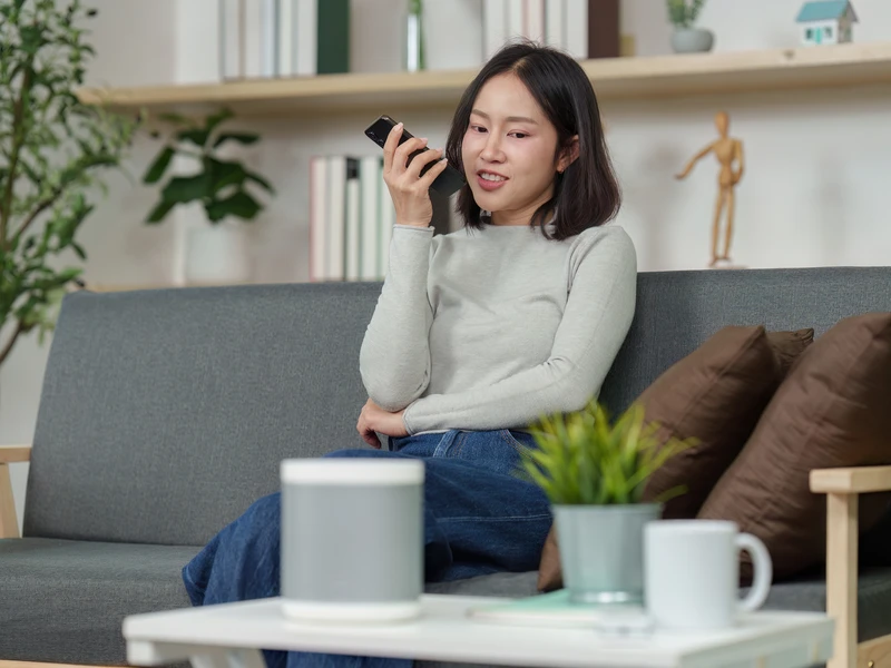 Voice control integration
