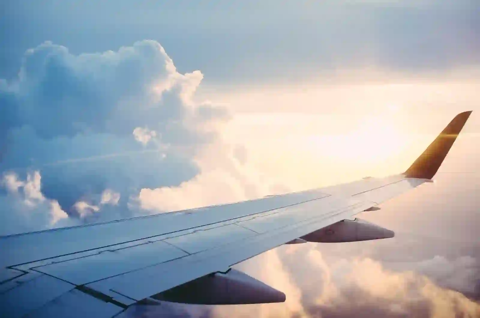 Travel & Hospitality App Developers