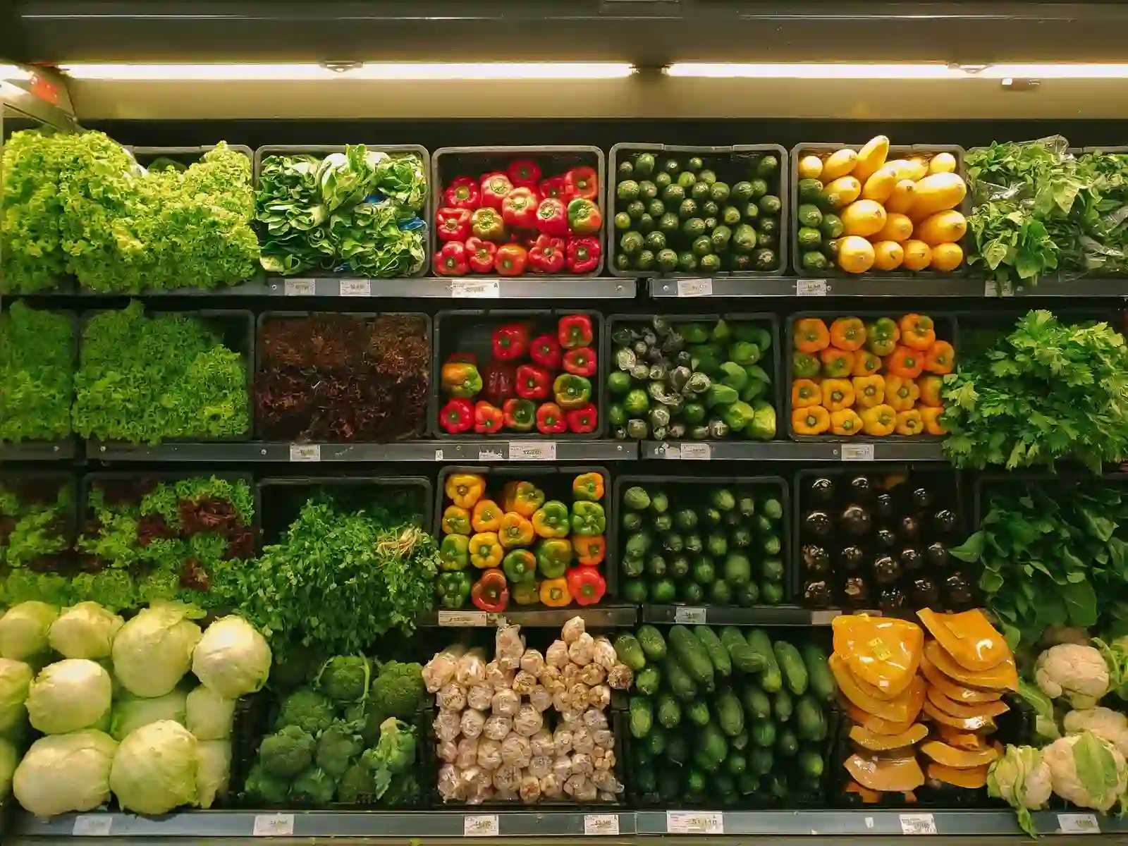 Online Grocery Delivery Apps