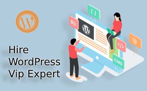 Hire WordPress Vip Expert Developer