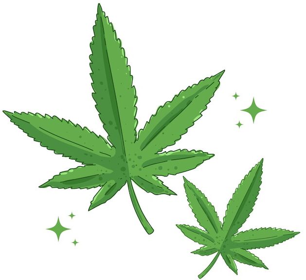 green-cannabis-leaves-hand-drawn-cartoon-illustrat