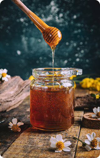 AdobeStock_442968908