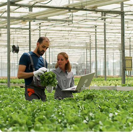 automation production system